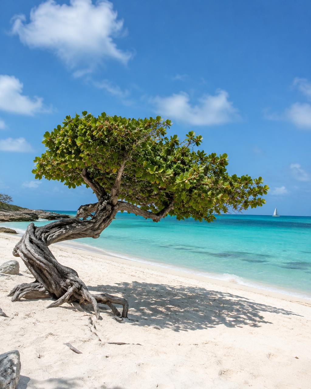 Playa en Aruba